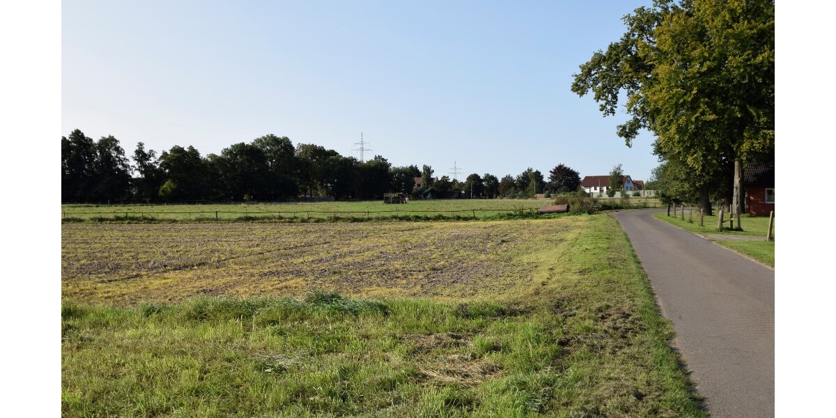 Landwirtschaftliche Fläche zu verkaufen Verpachtung als Weide möglich Grundstück komplett eingezäunt zimmer