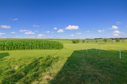 Grundstück Freising Am Vogelherd - 595.000&euro; | Angebot:25177001