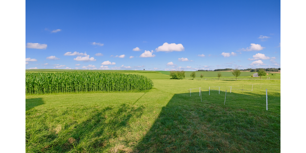 Grundstück Freising Am Vogelherd - 595.000&euro; | Angebot:25177001