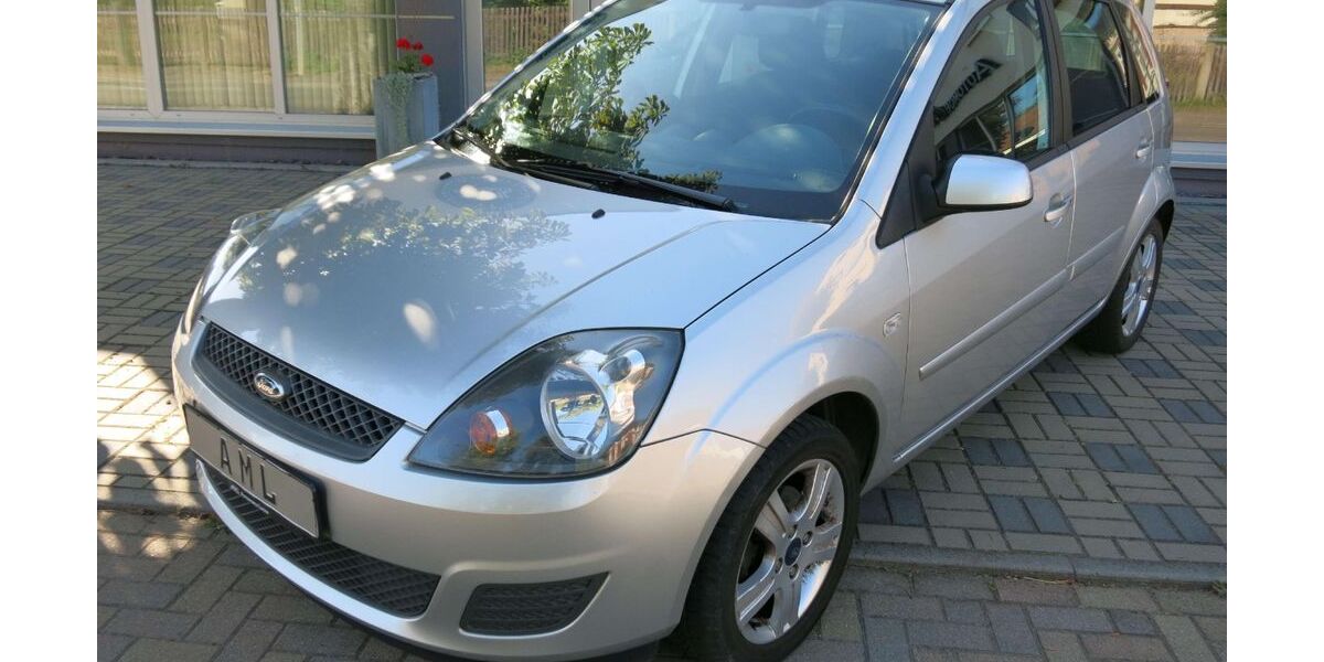Ford Fiesta 68.000 km 4.990 &euro; Lucka 04613
