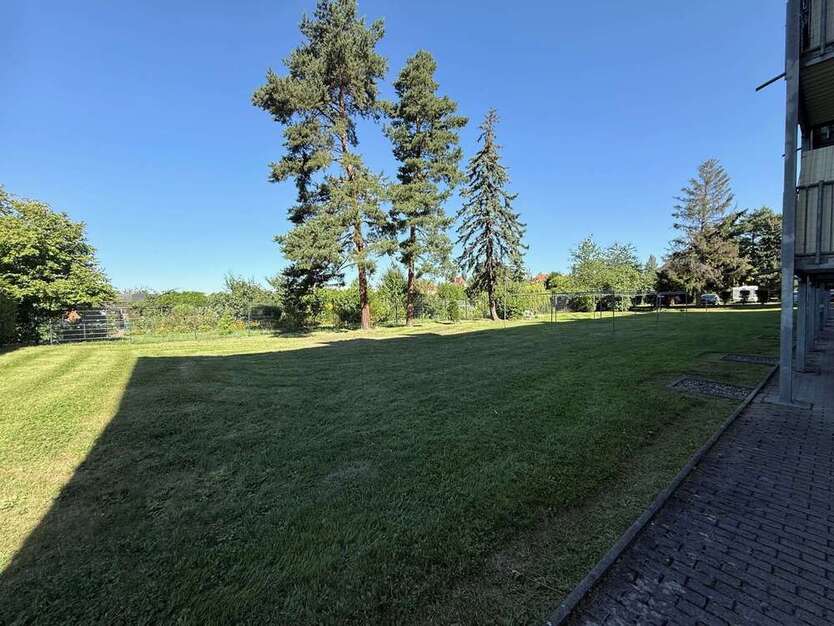 Wohnung zum Mieten in Dresden 391 € 39.1 m² 1 zimmer