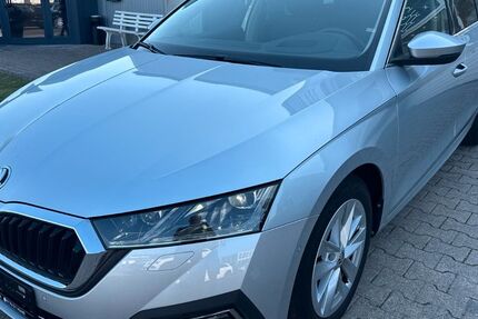 Skoda Octavia 113.158 km 18.590 &euro; Bielefeld 33719