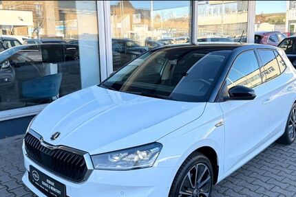 Skoda Fabia 91.200 km 14.990 € Geisenheim 65366