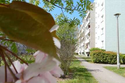 Wohnung Schkeuditz Altscherbitz - 3 Zimmer, 60 m&sup2;, 540&euro; | Angebot:27725773