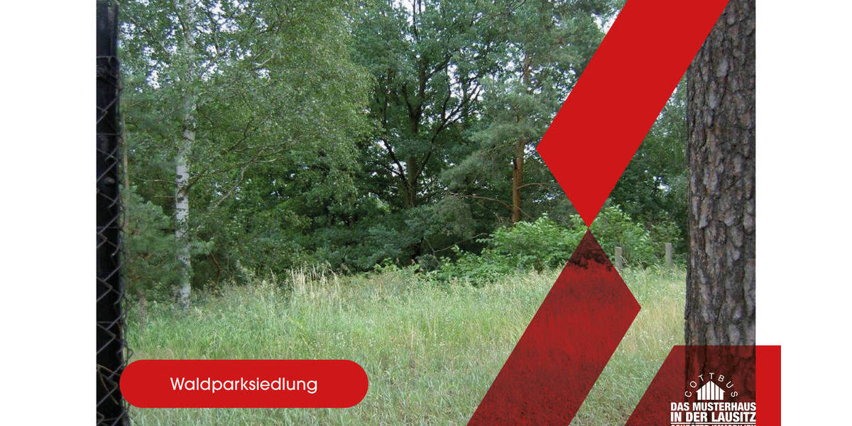 großzügiges Baugrundstück in Gallinchen am Wald zimmer