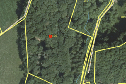 Attraktives Waldgrundstück an der B460 – 11.902 m² Mischwald zimmer