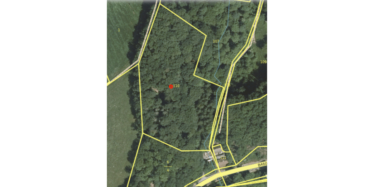 Attraktives Waldgrundstück an der B460 – 11.902 m² Mischwald zimmer