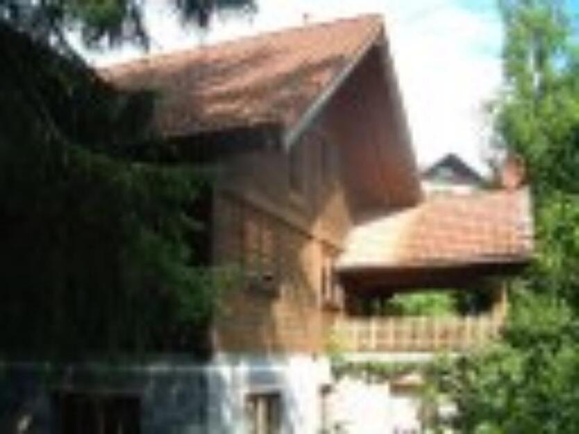 Holzhaus Hanglage