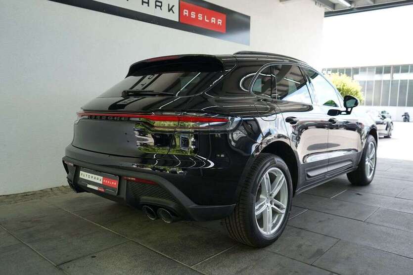 Macan