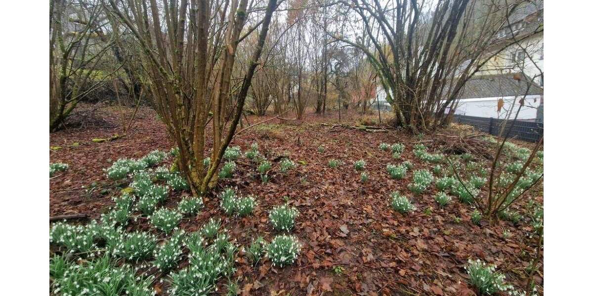 Grundstück Pirmasens Erlenbrunn - 125.000&euro; | Angebot:25279187