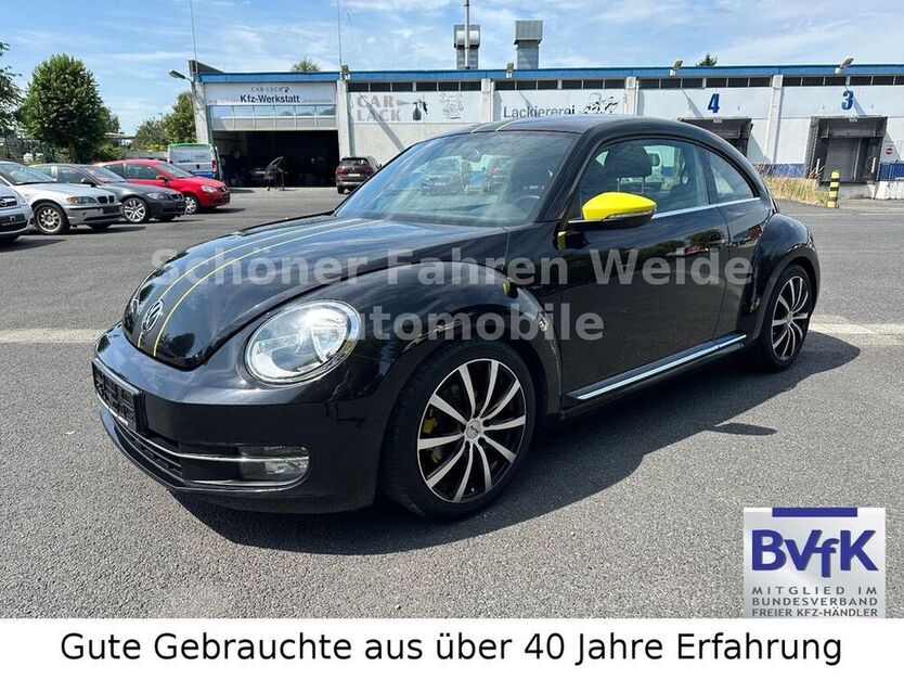 Beetle