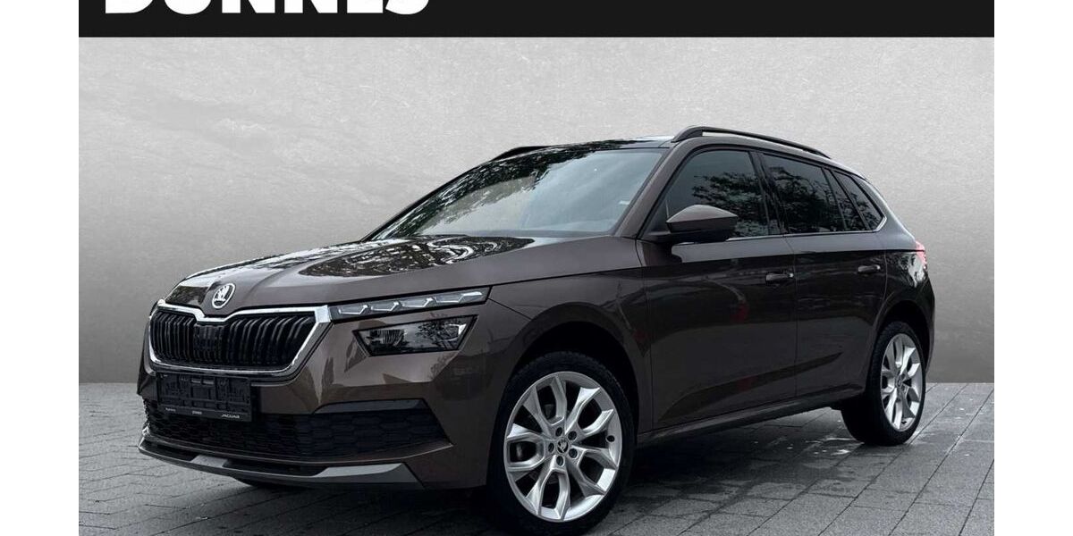 Skoda Kamiq 53.000 km 20.870 &euro; Regensburg 93059