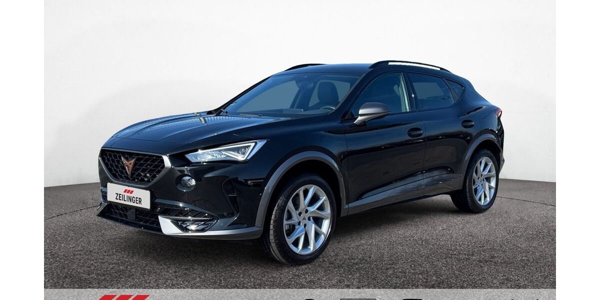 Cupra Formentor 24.710 km 25.331 &euro; Dietersheim 91463