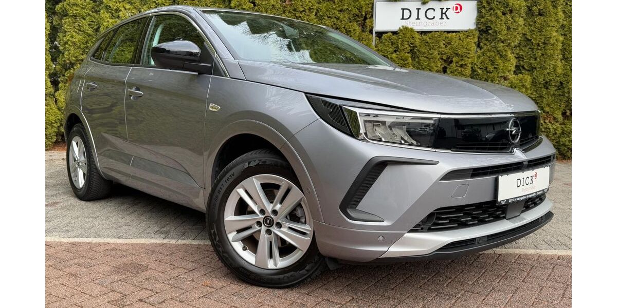 Opel Grandland (X) 49.583 km 18.750 &euro; Eisenach 99817