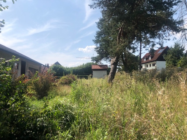 Praktisches Baugrundstück mit Potential in Pfaffenhofen an der Ilm