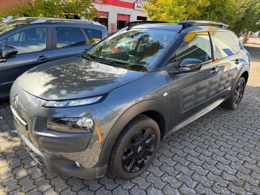 C4 Cactus