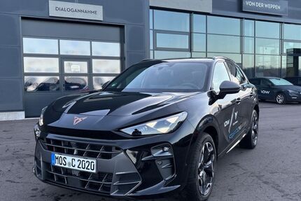 Cupra Terramar 20.000 km 49.990 &euro; Mosbach 74821