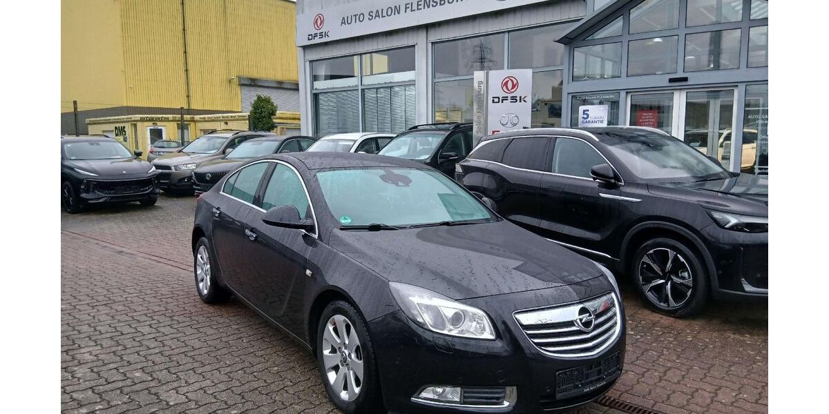 Opel Insignia 268.651 km 4.950 &euro; Flensburg 24941