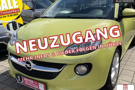 Opel Adam 80.371 km 8.790 &euro; Horb a/N 72160