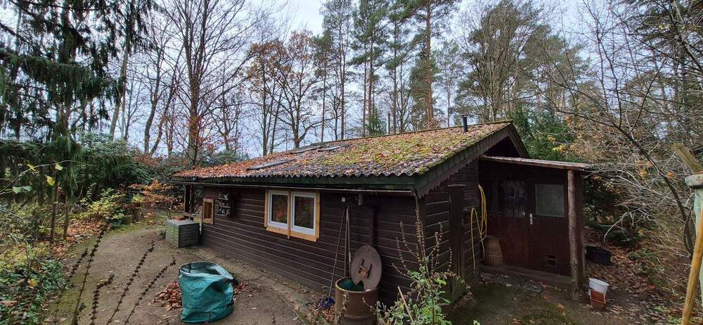 Idyllisches Blockhaus in gefühlter Alleinlage auf großem Grundstück - Bungalow Hitzacker Harlingen | Angebot:24917759