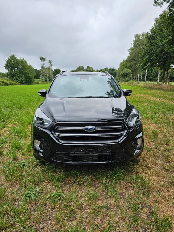 Kuga