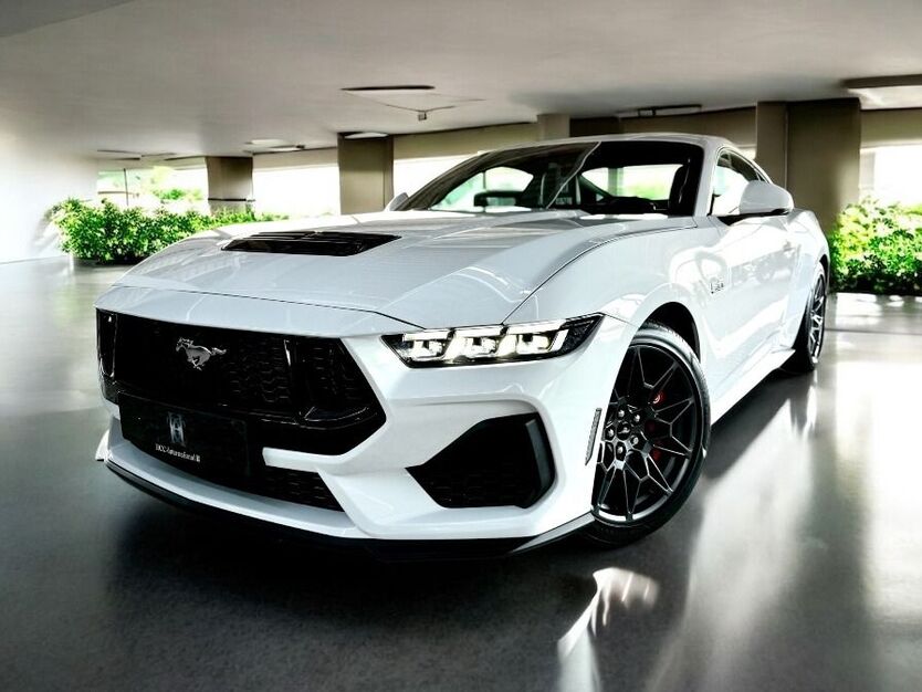 Mustang