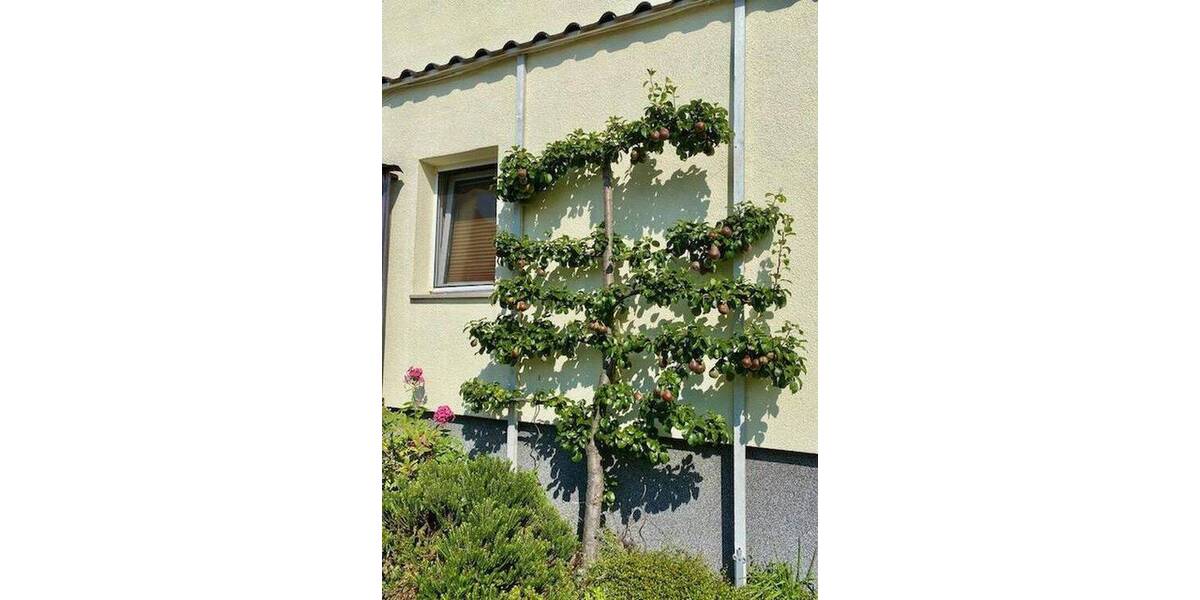 Mehrfamilienhaus, Wohnhaus Luckau Zöllmersdorf - 3 Zimmer, 900 m&sup2;, 789.000&euro; | Angebot:26932673