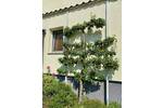 Mehrfamilienhaus, Wohnhaus Luckau Zöllmersdorf - 3 Zimmer, 900 m&sup2;, 789.000&euro; | Angebot:26932673