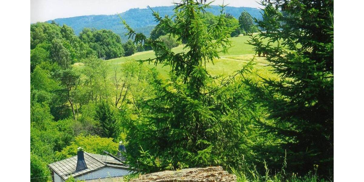 Grundstück Viernau Viernau - 19.000&euro; | Angebot:25727688