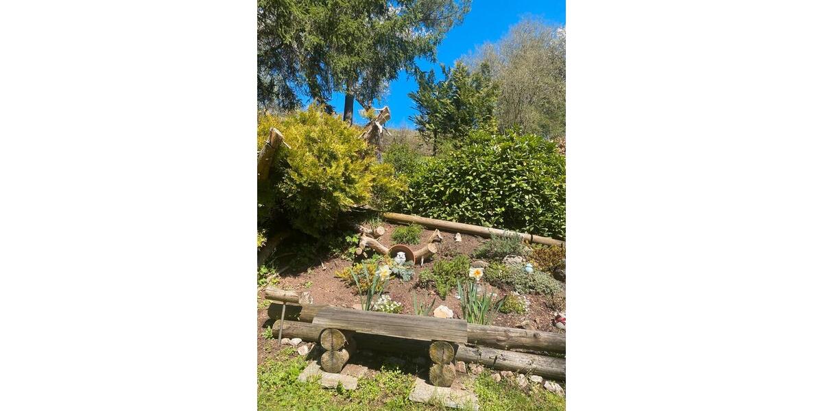 Einfamilienhaus Steinbach-Hallenberg Hallenberg - 3 Zimmer, 70 m&sup2;, 75.000&euro; | Angebot:26314391