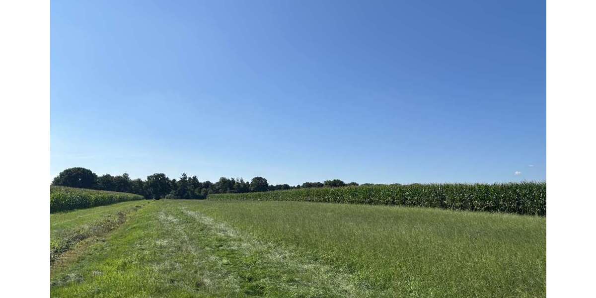 Grundstück in Edewecht 298.000 € 66754 m² zimmer