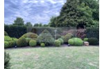 Bungalow mit großem Garten und Garage - provisionsfrei für Käufer - Bungalow Gütersloh | Angebot:26184744