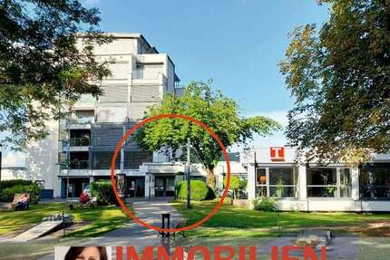 Büro in Bad Breisig 900 € 156 m² zimmer