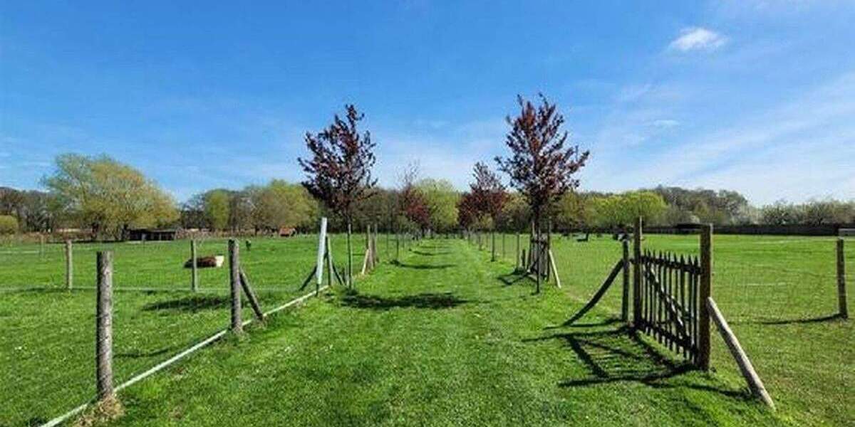 Mehrfamilienhaus, Wohnhaus Niederkrüchten Laar - 8 Zimmer, 450 m&sup2;, 1.995.000&euro; | Angebot:24748886