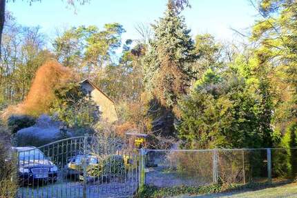 Grundstück zu verkaufen in Schildow 320.000 € 1038 m² zimmer