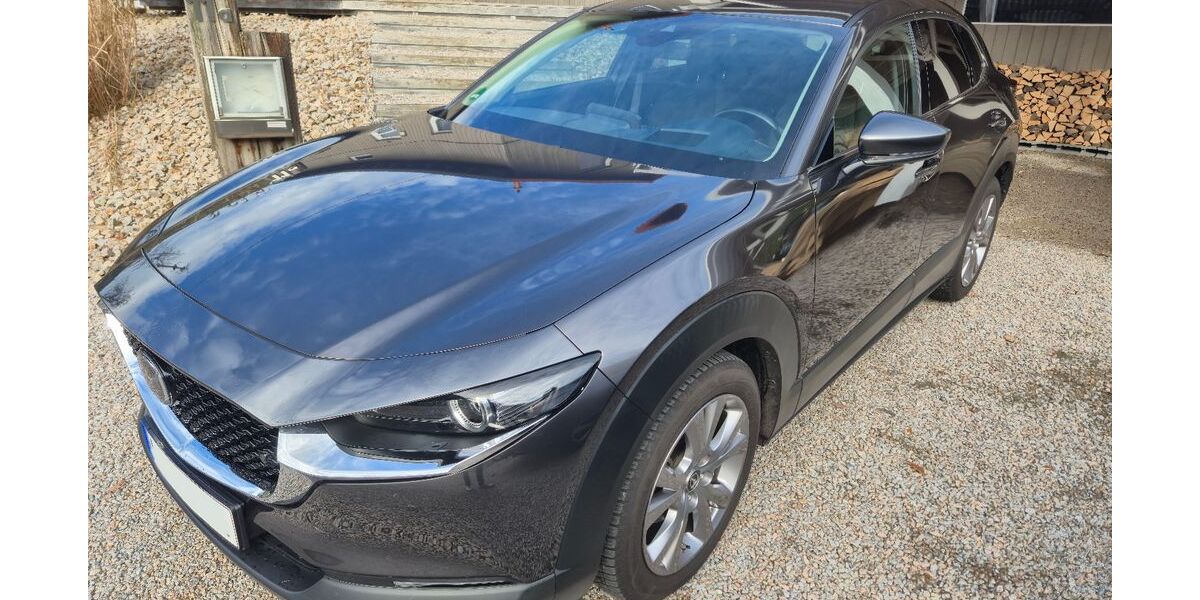 Mazda CX-30 98.000 km 17.000 € Malsburg-Marzell 79429