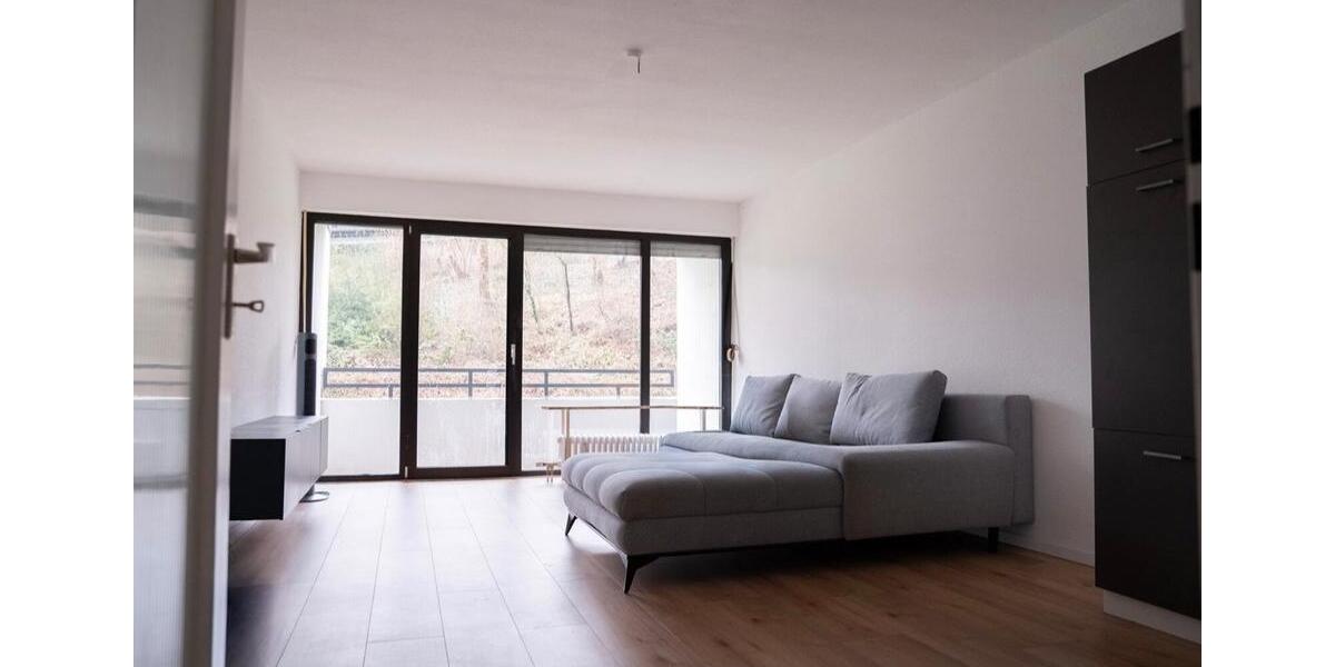 Erdgeschoßwohnung Wiesbaden Biebrich - 1 Zimmer, 45 m&sup2;, 750&euro; | Angebot:24841887