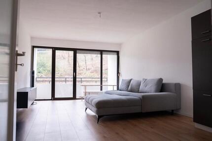 Wohnung Wiesbaden Biebrich - 1 Zimmer, 45 m&sup2;, 750&euro; | Angebot:24841887