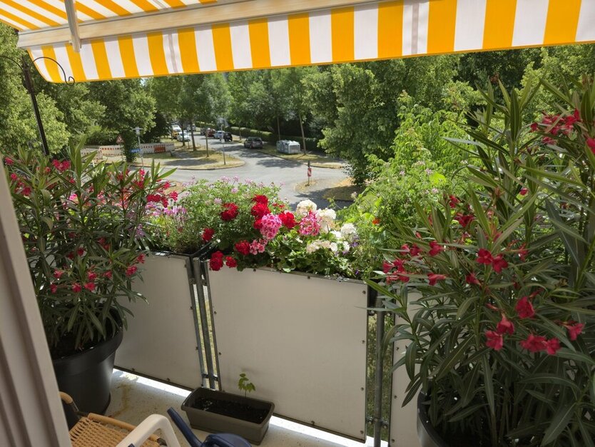 Kassel, vord. Westen, 3 ZKB, 64m² mit Wohnrecht! 3 zimmer