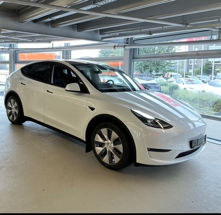 Model Y