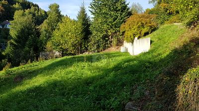 HIER IHREN TRAUM VERWIRKLICHEN - EFH ODER DH - Grundstück Suhl Schmiedefeld am Rennsteig | Angebot:25879766