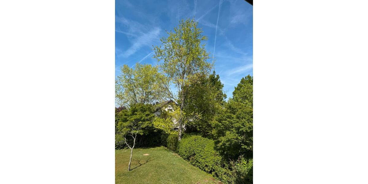 Etagenwohnung Trier Kürenz - 2 Zimmer, 67 m&sup2;, 850&euro; | Angebot:26407014