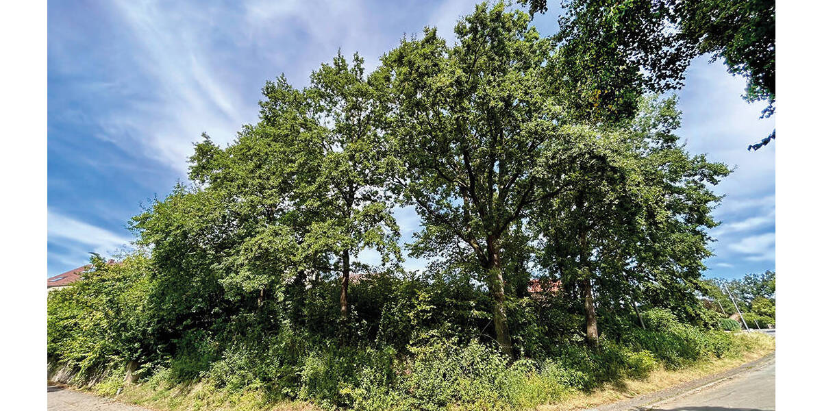 Grundstück Höchstadt / Etzelskirchen Etzelskirchen - 169.000&euro; | Angebot:26160708