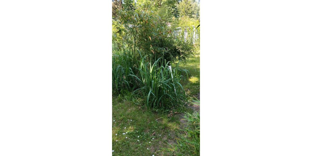 Bungalow Spremberg - 1 Zimmer, 40 m&sup2;, 60.000&euro; | Angebot:26857756