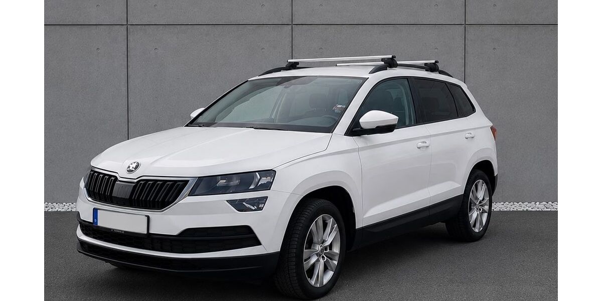 Skoda Karoq 158.000 km 15.500 &euro; Pluwig 54316
