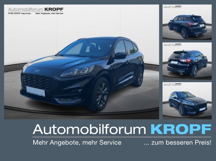 Kuga