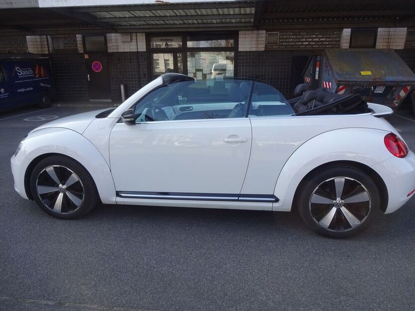 Beetle