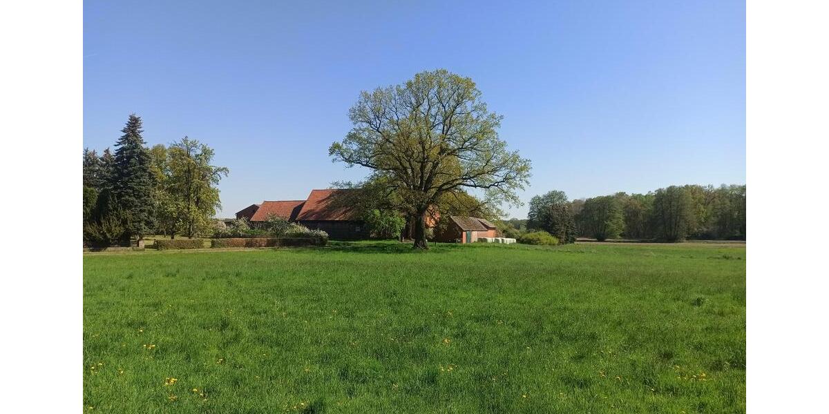 Bauernhaus, Landhaus Schnega - 9 Zimmer, 248 m&sup2;, 335.000&euro; | Angebot:27092836