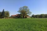 Bauernhaus, Landhaus Schnega - 9 Zimmer, 248 m&sup2;, 335.000&euro; | Angebot:27092836
