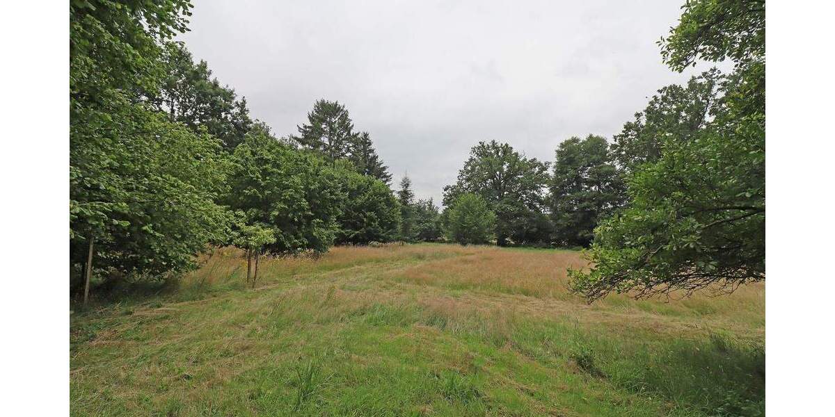 Grundstück Dannenberg (Elbe) Streetz - 80.000&euro; | Angebot:24040824